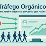Oque e tráfego organico